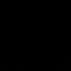 Meet your Posher, Simone